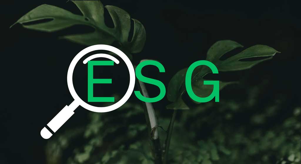 ESG, le pilier environnemental